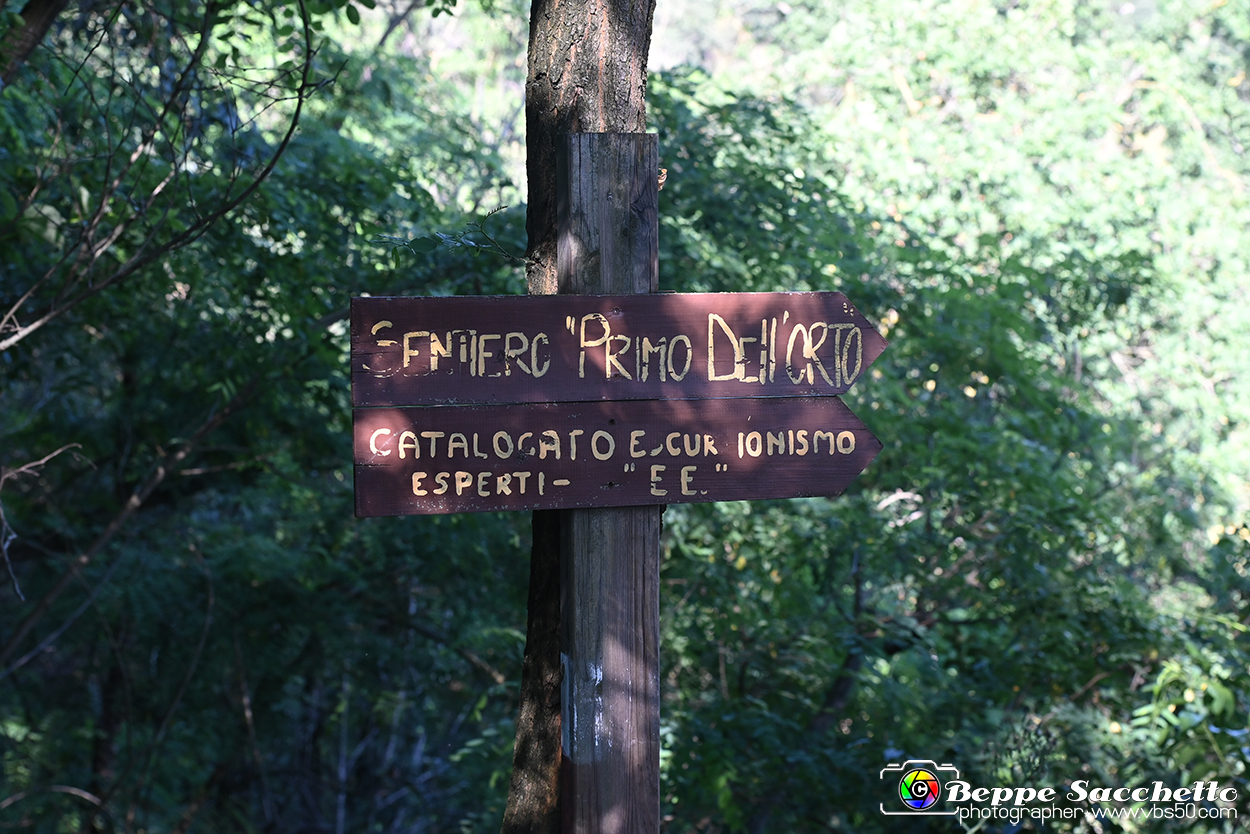 VBS_4732 - Il bosco fatato - Montaldo Roero.jpg